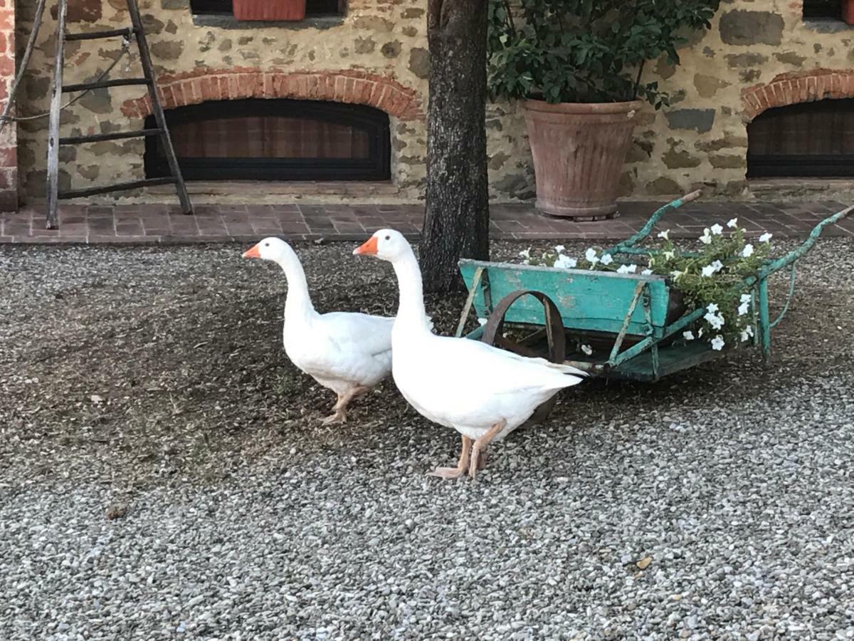 Podere La Fausta Serravalle Pistoiese Εξωτερικό φωτογραφία